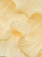 Pleated Layered Ruffle Skirt Set